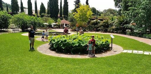 Cafetería Jardín Botánico
