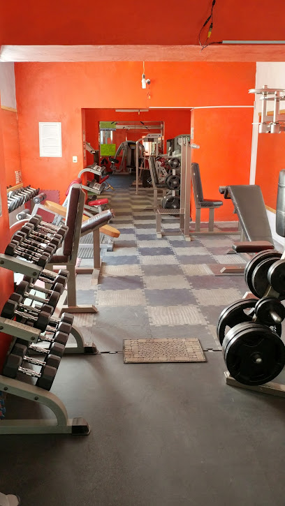 Omega Gym - De 5 Señores 2, Zona Centro, 36000 Guanajuato, Gto., Mexico