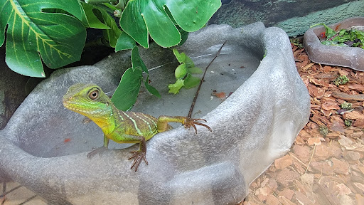 Pet Supply Store «Petco Animal Supplies», reviews and photos, 6137 Mid Rivers Mall Dr, St Charles, MO 63304, USA