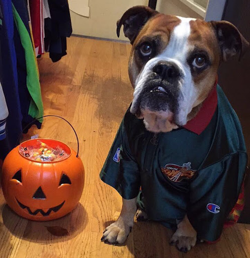 Thrift Store «Lucky Dog Clothing», reviews and photos, 8201 Greenwood Ave N, Seattle, WA 98103, USA