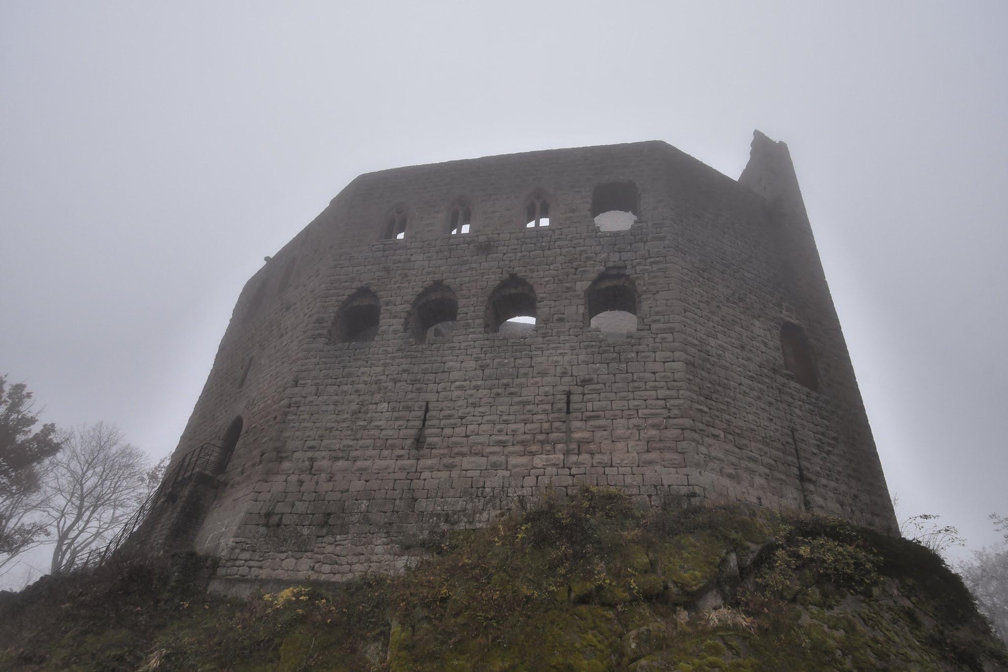 Photo n° 10 de l'avis de Ludovic.n fait le 21/11/2021 à 19:59