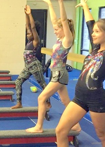 Gymnastics Center «MGA - Gymnastics, Cheer, Tumbling & Ninja», reviews and photos, 521 Commerce Dr, Upper Marlboro, MD 20774, USA