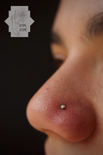 Find dino tattoo ideas for your next unique tattoo in Mobile at Royal Stone Piercing