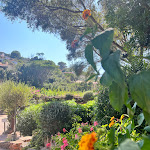 Photo n°3 de l'avis de Raffaella.c fait le 31/08/2023 à 21:48 sur le  Hotel Don Diego à Costa Dorata