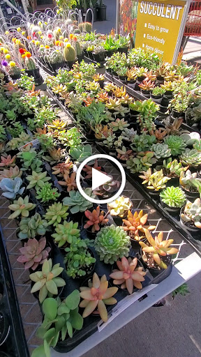 Home Improvement Store «The Home Depot», reviews and photos, 9150 W Stockton Blvd, Elk Grove, CA 95758, USA