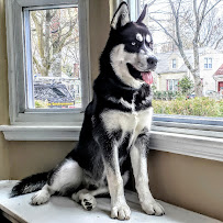 Greenleaf Pest Management Inc. - Photo 3 - Car repair in , Springfield