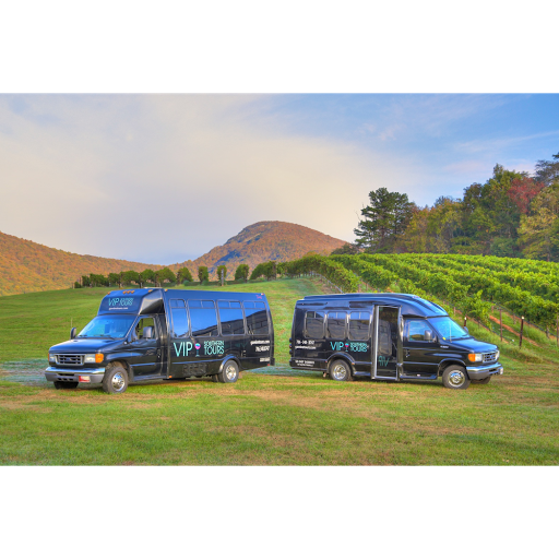 Travel Agency «VIP Travel & VIP Southern Tours & Georgia Wine Bus», reviews and photos, 2276 GA-17 c, Sautee Nacoochee, GA 30571, USA