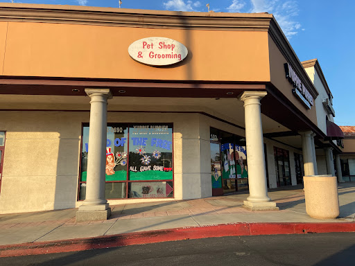 Yuppie Puppies Pet Shop, 1218 Magnolia Ave, Corona, CA 92881, USA, 