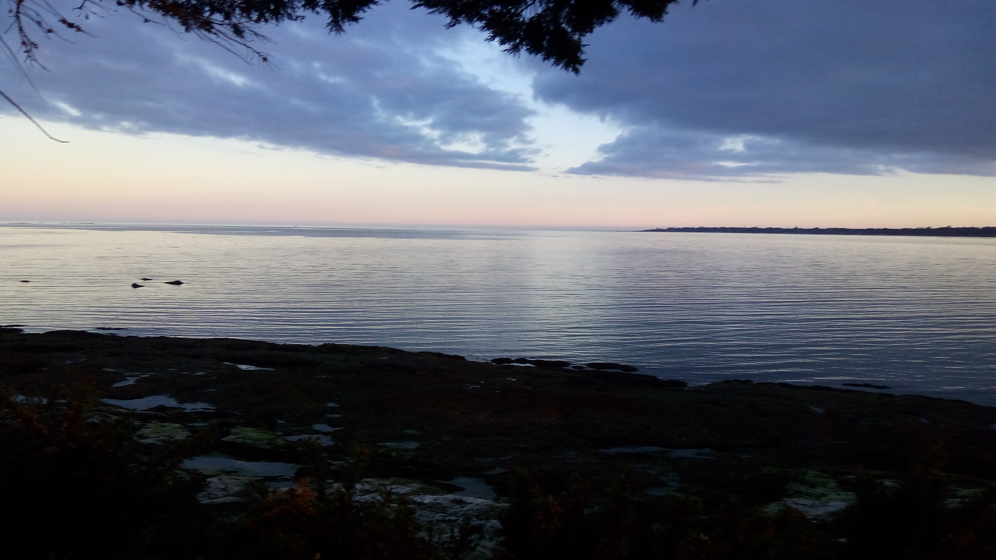 Photo n° 3 de l'avis de Greg.e fait le 02/06/2019 à 09:30