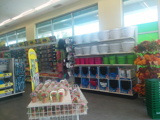 Dollar Store «Dollar Tree», reviews and photos, 1238 S Magnolia Ave, Anaheim, CA 92804, USA