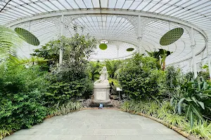 Glasgow Botanic Gardens image