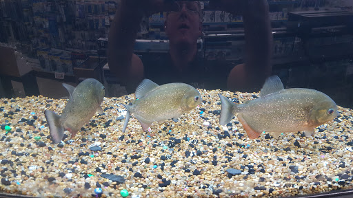 Pet Store «Pet Stop», reviews and photos, 6218 Nieman Rd, Shawnee, KS 66203, USA