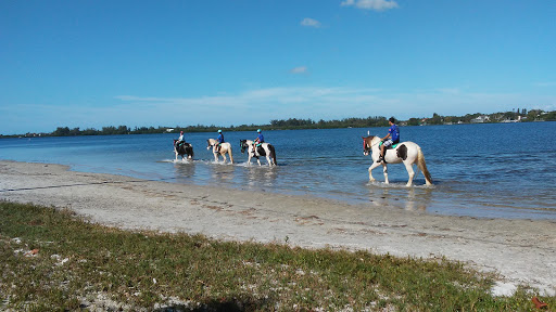 Horseback Riding Service «BeachHorses.com», reviews and photos, 8400 Manatee Ave W, Bradenton, FL 34209, USA