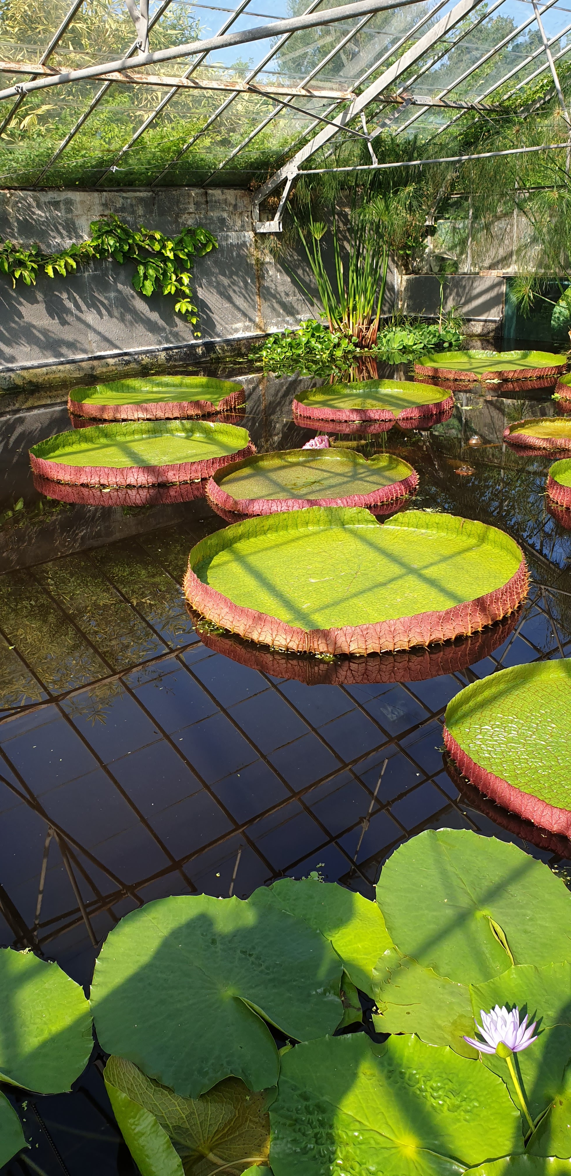 Photo n° 3 de l'avis de Lydie.a fait le 20/08/2021 à 14:08