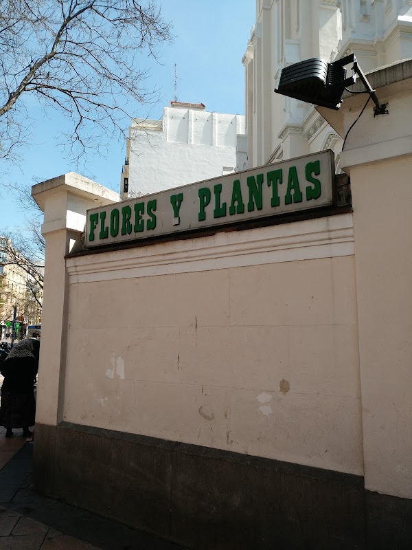 Angel Floristas