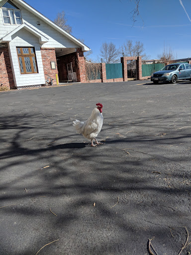 Event Venue «Lionsgate Event Center», reviews and photos, 1055 S 112th St, Lafayette, CO 80026, USA
