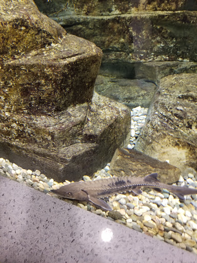 Park «Robert Moses State Park», reviews and photos, 32 Beach Marina Rd, Massena, NY 13662, USA