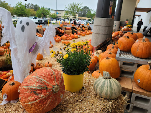 Home Improvement Store «The Home Depot», reviews and photos, 27401 La Paz Rd, Laguna Niguel, CA 92677, USA