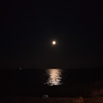 Photo n°1 de l'avis de Anna.a fait le 01/07/2022 à 00:44 sur le  Jamao Music Drinks à Marina Serra