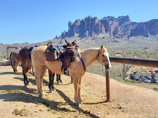 Historical Place «Goldfield (Ghost Town)», reviews and photos, 4650 N Mammoth Mine Rd, Apache Junction, AZ 85119, USA