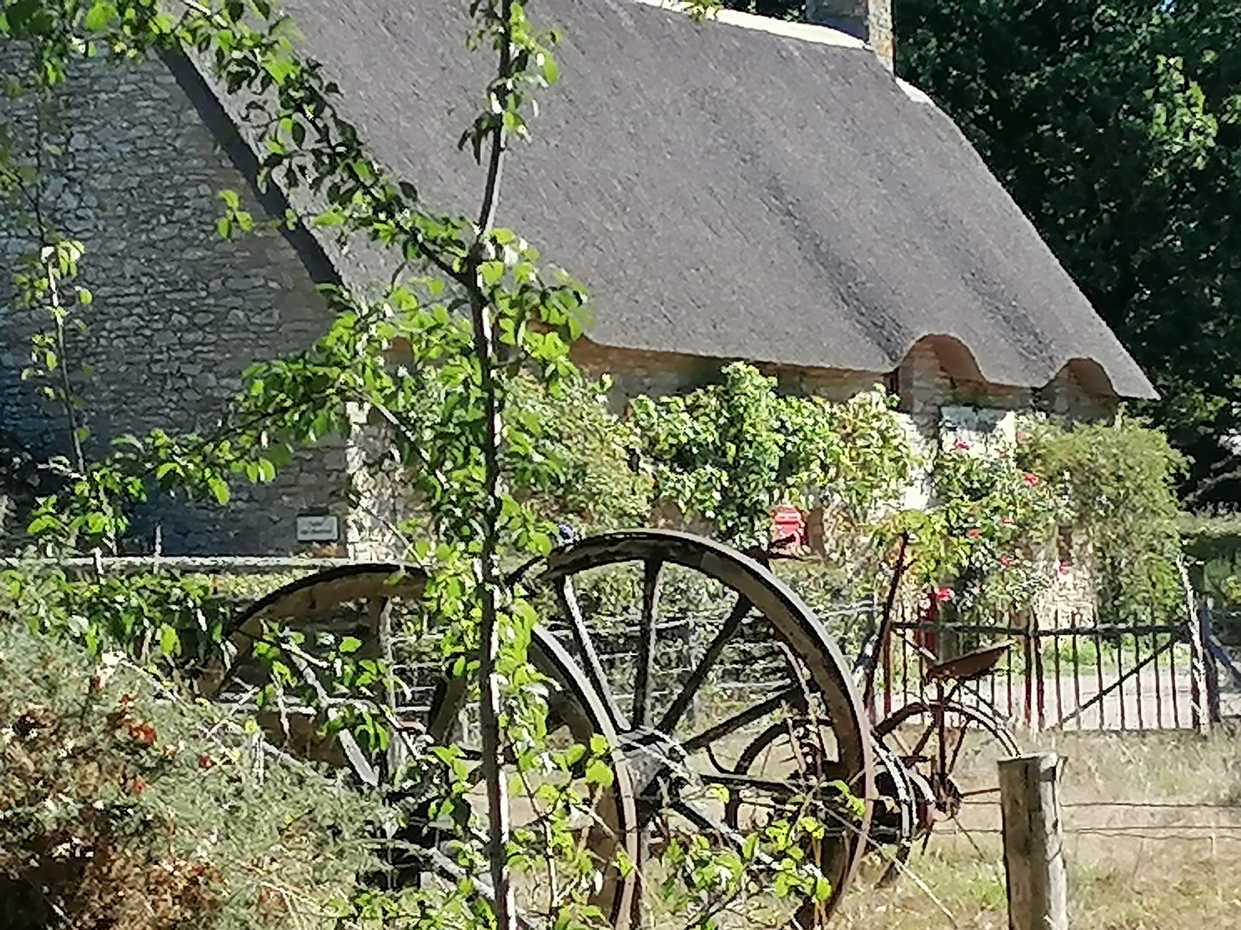 Photo n° 2 de l'avis de REGINE.A fait le 13/09/2022 à 22:13