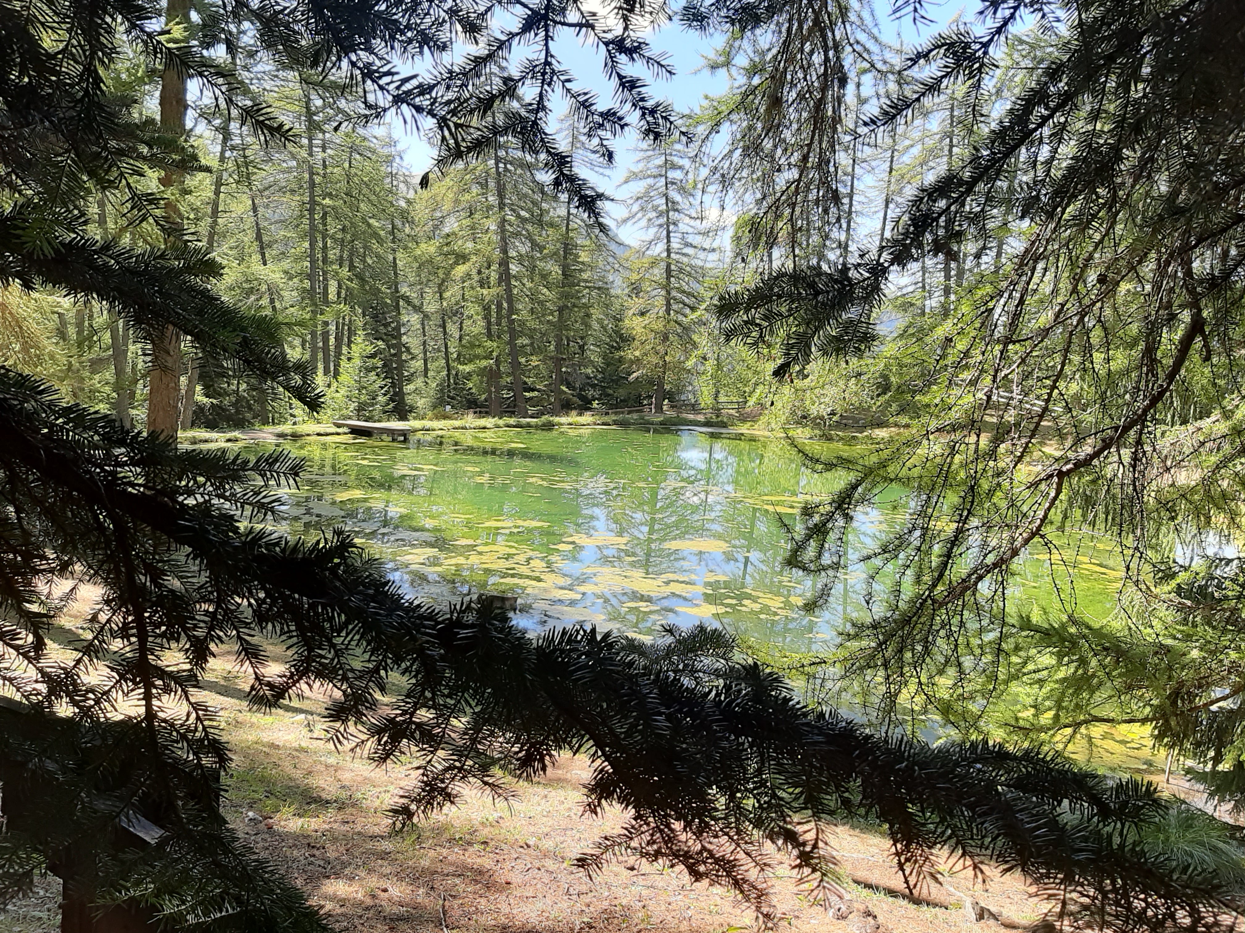Photo n° 3 de l'avis de Thierry.a fait le 01/09/2020 à 16:41