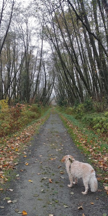 South Side Trail