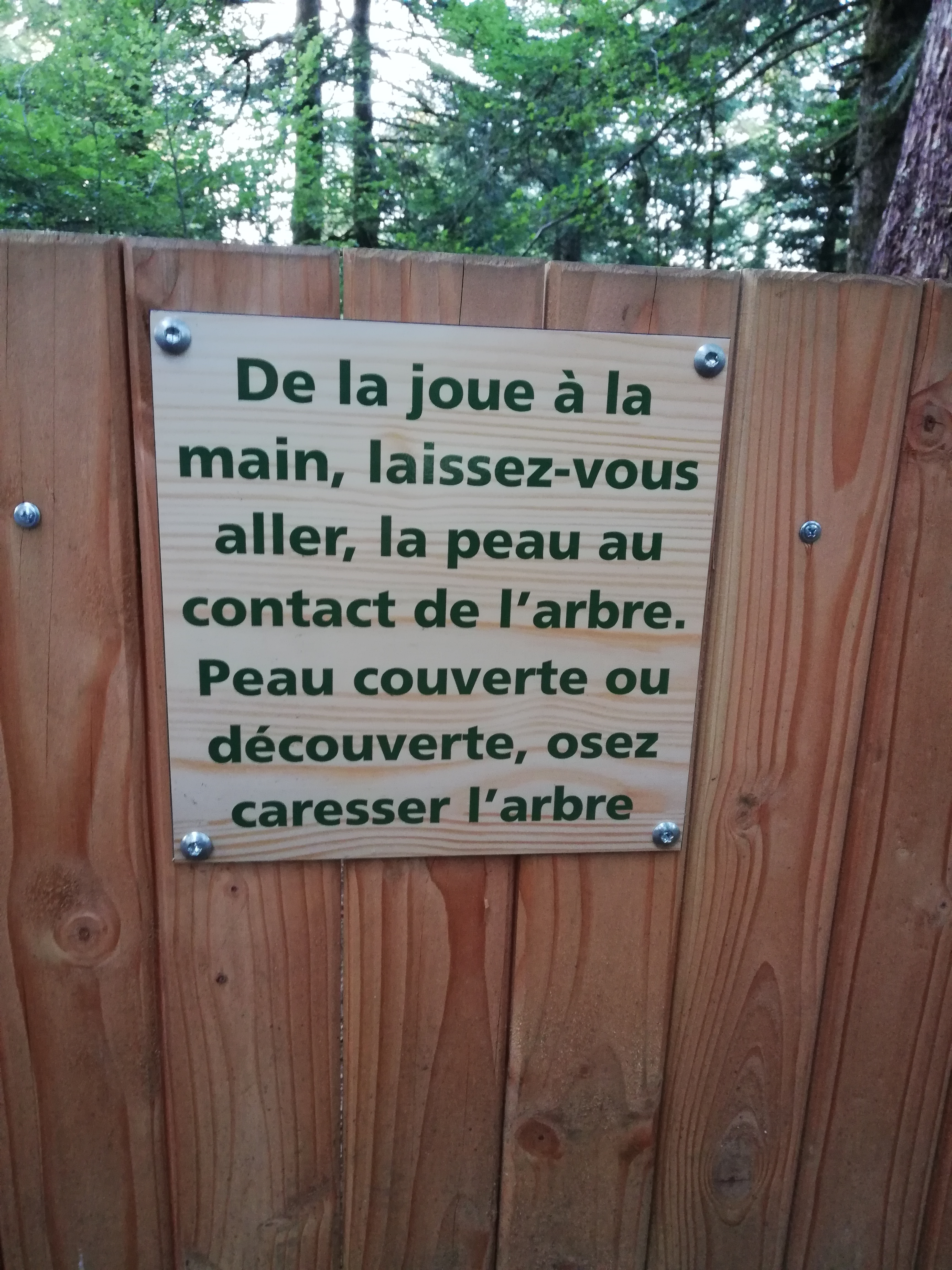 Photo n° 3 de l'avis de Lea.e fait le 29/08/2019 à 21:02