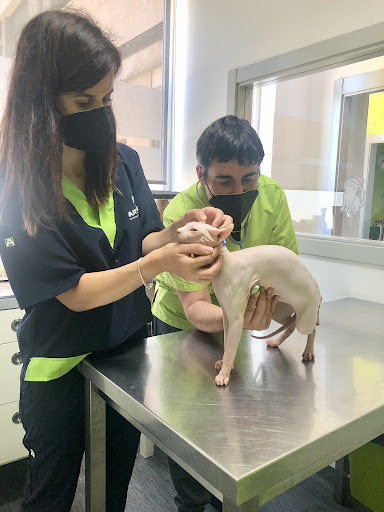 Clínica Veterinaria Animalitas en Oviedo
