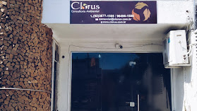 Clorus Consultoria Ambiental