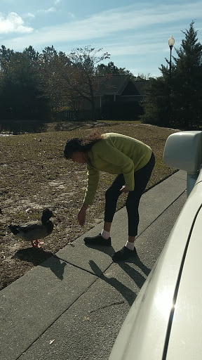 Self-Storage Facility «Monkey Junction Self Storage», reviews and photos, 5044 Carolina Beach Rd, Wilmington, NC 28412, USA