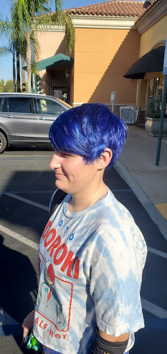 Hair Salon «Neo Dolce Salon», reviews and photos, 7895 N Blackstone Ave, Fresno, CA 93720, USA