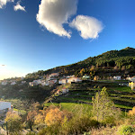Photo n°1 de l'avis de Mirelly.e fait le 21/01/2020 à 17:50 sur le  O Vicente à Loriga Seia