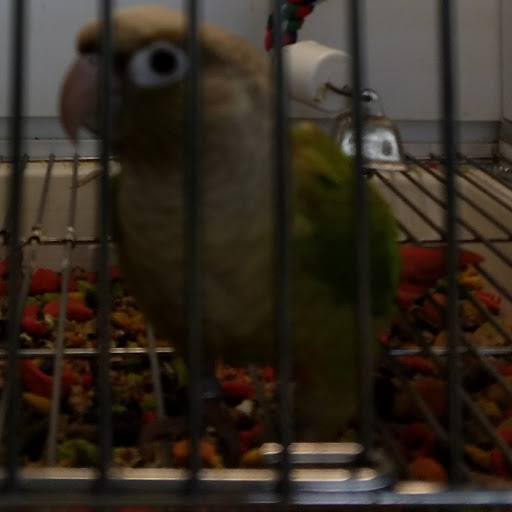 Pet Supply Store «Pet Supplies Plus», reviews and photos, 1240 Seminole Trail, Charlottesville, VA 22901, USA