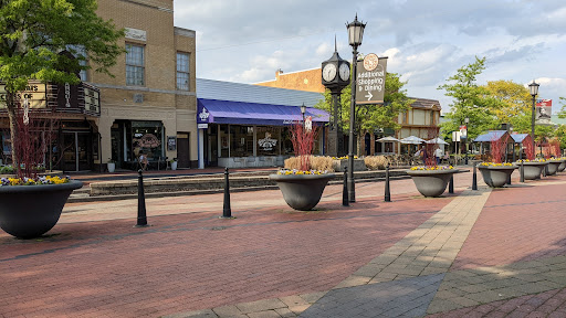 Childrens Theater «Marquis Theatre», reviews and photos, 135 E Main St, Northville, MI 48167, USA