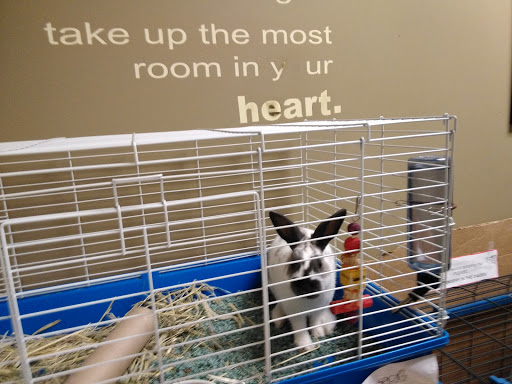 Pet Supply Store «Petco Animal Supplies», reviews and photos, 21851 Towne Center Dr, Watertown, NY 13601, USA