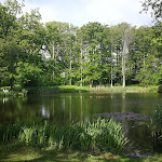 Photo n°6 de l'avis de Blazenka.e fait le 07/06/2020 à 07:58 sur le  Paulsen's Landhotel und Restaurant Bohmstedt à Bohmstedt