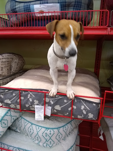 Pet Supply Store «Petco Animal Supplies», reviews and photos, 217 Oak Lee Dr #16, Ranson, WV 25438, USA