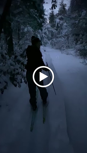 Ski Resort «High Point Cross Country Ski Center», reviews and photos, 1480 NJ-23, Sussex, NJ 07461, USA