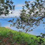 Photo n° 12 de l'avis de Dominique.E fait le 14/06/2020 à 15:03 pour Parc naturel régional d'Armorique à Le Faou