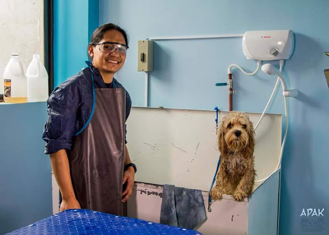 Veterinaria y peluqueria canina patitas pet shop - Veterinario