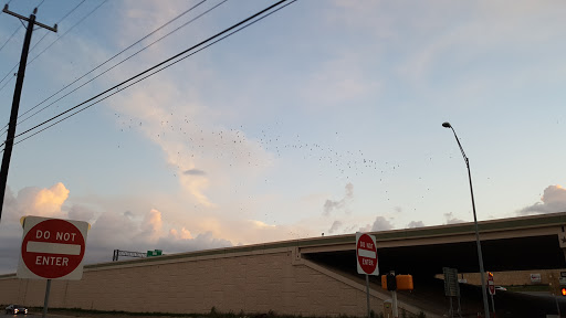 Used Car Dealer «Mobile City Auto Plex», reviews and photos, 6457 Camp Bullis Rd, San Antonio, TX 78257, USA