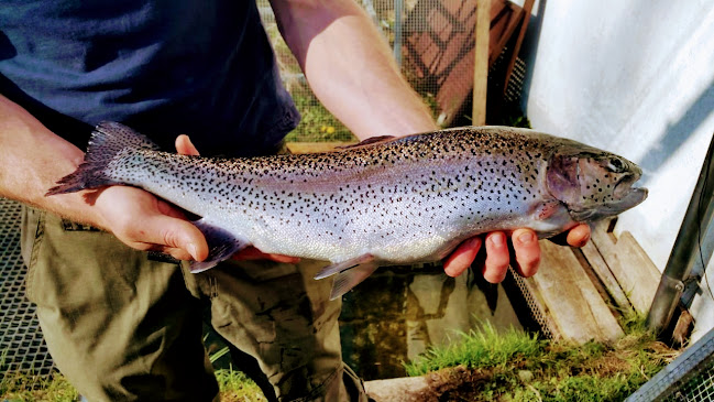 Rezensionen über Bio Fish Valley SA in Val-de-Travers NE - Bioladen