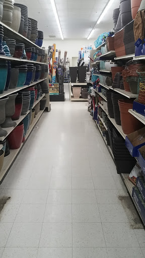 Discount Store «Big Lots», reviews and photos, 3055 183rd St, Homewood, IL 60430, USA