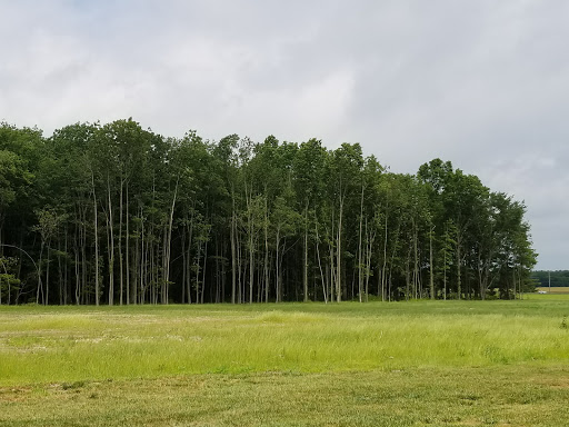 Park «Carsins Run Park», reviews and photos, 500 Carsins Run Rd, Aberdeen, MD 21001, USA