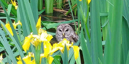 Non-Profit Organization «Dauset Trails Nature Center», reviews and photos, 360 Mt Vernon Church Rd, Jackson, GA 30233, USA