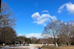 Kiryu Public Recreation Park image