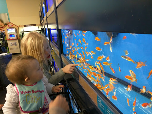 Pet Supply Store «Petco Animal Supplies», reviews and photos, 226 Thornton Drive, Dickson, TN 37055, USA