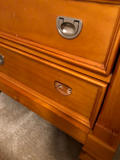 Moving and Storage Service «Two Men and a Truck», reviews and photos, 2 E Texar Dr a, Pensacola, FL 32501, USA