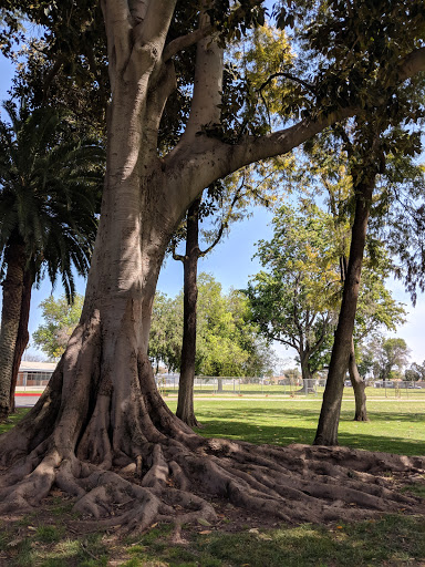 Park «Neff Park», reviews and photos, 14300 San Cristobal Dr, La Mirada, CA 90638, USA